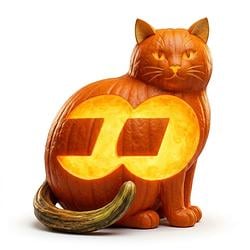POMOCAT