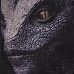 Reptile