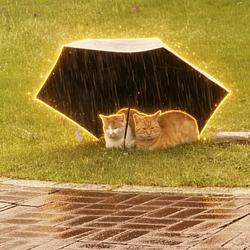 Ucats