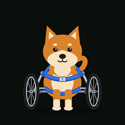 ShibaInu