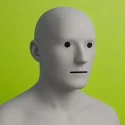 Non Playable Character