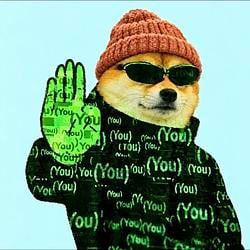 matrixinu