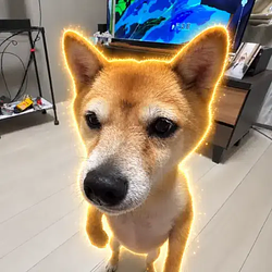 ICHIGO