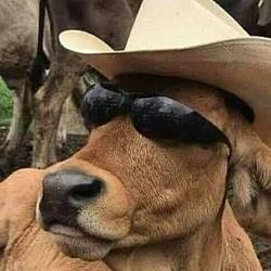 cowboy