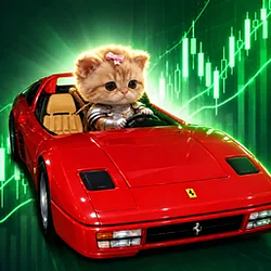 RSWORDCAT