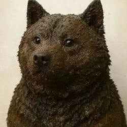 DOGShit