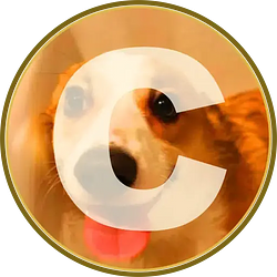 CORGI