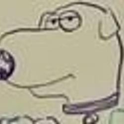 Brian / SOL