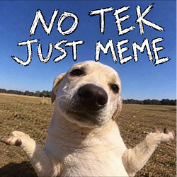 NOTEK