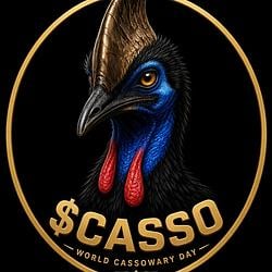 Casso