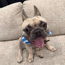 BABYBOY