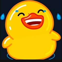 www