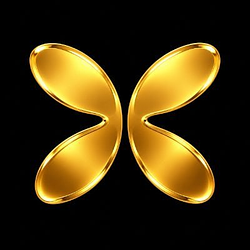 XPAY