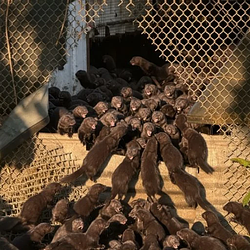 1500