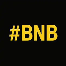 #BNB / USDT