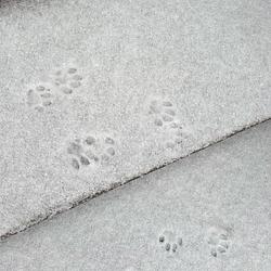 snowprint logo