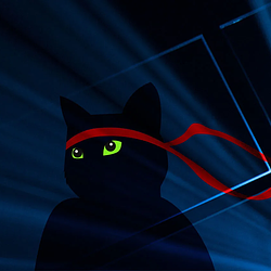 NINJACAT / SOL