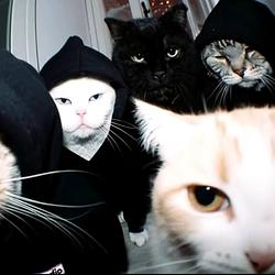GANG