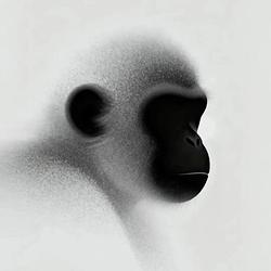 SILUETMANGKY