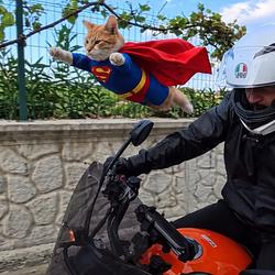 SuperCat