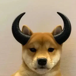 HORNS