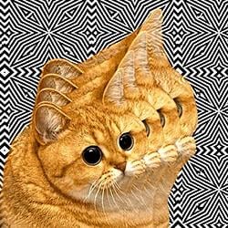 illusion