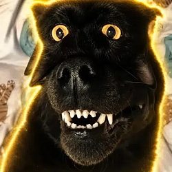 DOGCAT
