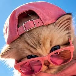 RoseCatCo / SOL