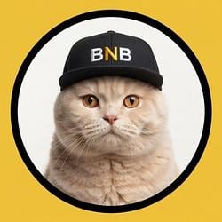BNBCAT / SOL