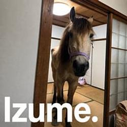 IZUME