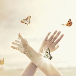 FLYTHOUGHT