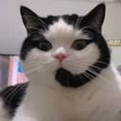 牛奶 / BNB
