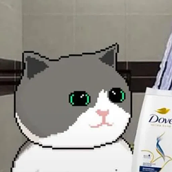 cryptocat