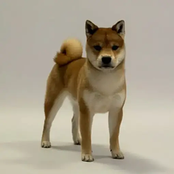 wif