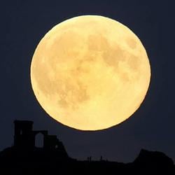花好月圆夜