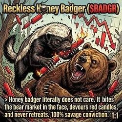 $BADGR