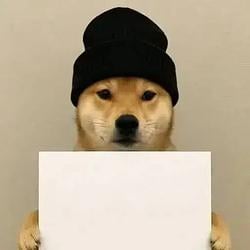 ADOG