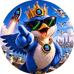 BIRDX