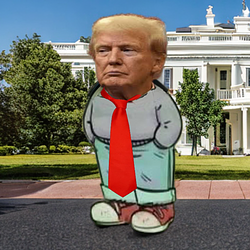 PRESIDENT