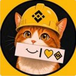 BNBCAT