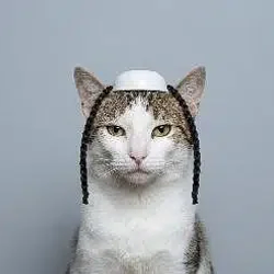 Shekels