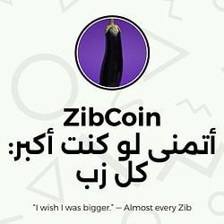 ZIB / SOL