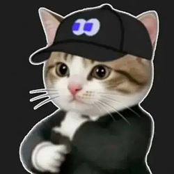 FOMOCAT / SOL
