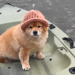 CANOE