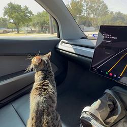 Cybercab