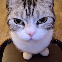 达福