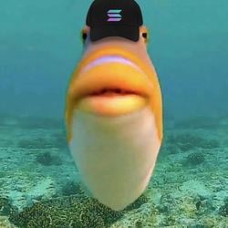SFISH