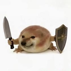 WDOG