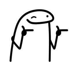FLORK / SOL
