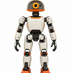 Macroduck